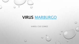 VIRUS MARBURGO
KAROL CUE GOMEZ
1
 