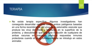 TERAPIA
 No existe terapia específica. Algunos investigadores han
conseguido desarrollar vacunas contra ambos patógenos basadas
en una forma recombinante del virus de la estomatitis vesicular que
produce los virus del Ébola y Marburgo en la superficie de la
proteína, y descubrieron que una sola inyección de cualquiera de
ambas vacunas en macacos producía respuestas inmunes
protectoras cuando el virus correspondiente se introdujo en estos
animales
10
 