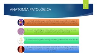 ANATOMÍA PATOLÓGICA
7
En el hígado se localizan cuerpos eosinófilos (similares a los cuerpos de Councilman) y en el
pulmón se notan indicios de pulmonitis intersticial y de endoarteritis de las arterias pequeñas.
La necrosis focal de los órganos linfoides es bastante característica, mientras que la necrosis
tubular renal ocurre sobre todo en las últimas fases de enfermedad.
En el sistema nervioso hay infartos hemorrágicos múltiples y proliferación de las células de la glía.
En los vasos sanguíneos se han encontrado depósitos de fibrina; sin embargo, no está claro si
puede haber una coagulación intravasal diseminada, pues no siempre hay signos de laboratorio
en ese sentido.
 