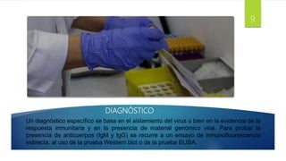 DIAGNÓSTICO
Un diagnóstico específico se basa en el aislamiento del virus o bien en la evidencia de la
respuesta inmunitaria y en la presencia de material genómico viral. Para probar la
presencia de anticuerpos (IgM y IgG) se recurre a un ensayo de inmunofluorescencia
indirecta, al uso de la prueba Western blot o de la prueba ELISA.
9
 