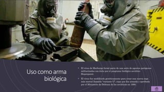 Usocomoarma
biológica
 El virus de Marburgo formó parte de una serie de agentes patógenos
militarizados con éxito por el programa biológico soviético
Biopreparat.
 El virus fue modificado genéticamente para crear una nueva cepa
más mortal llamada "variante U", cepa que fue armada y aprobada
por el Ministerio de Defensa de los soviéticos en 1990.
 