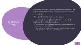Replicación
Viral
 El ingreso del virus a la célula hospedante es mediado por
la glicoproteína de superficie, pero no se conoce el receptor
al que se pega.
 Es capaz de infectar casi todos los órganos.
 La transcripción y replicación del virus ocurre en el
citoplasma de la célula hospedadora.
 El filamento de ARN se transcribe, gracias a la polimerasa que luego se
sobrepone por poliadenilación .
 Este ARN se usa después como molde para la traducción y la formación
de las proteínas y para la replicación del genoma.
 