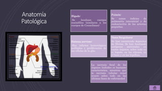 Anatomía
Patológica
Hígado:
Se localizan cuerpos
eosinófilos (similares a los
cuerpos de Councilman)
Pulmón:
Se notan indicios de
pulmonitis intersticial y de
endoarteritis de las arterias
pequeñas.
Sistema nervioso:
Hay infartos hemorrágicos
múltiples y proliferación de
las células de la glía.
Vasos Sanguíneos:
Se han encontrado depósitos
de fibrina. Se han localizado
antígenos antivirales en
varios órganos, sobre todo en
el hígado, en los riñones, en
el bazo y en las hipófisis.
La necrosis focal de los
órganos linfoides es bastante
característica, mientras que
la necrosis tubular renal
ocurre sobre todo en las
últimas fases de enfermedad
 