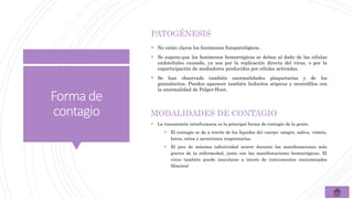 Formade
contagio
PATOGÉNESIS
 No están claros los fenómenos fisiopatológicos..
 Se supone,que los fenómenos hemorrágicos se deban al daño de las células
endoteliales causado, ya sea por la replicación directa del virus, o por la
coparticipación de mediadores producidos por células activadas.
 Se han observado también anormalidades plaquetarias y de los
granulocitos. Pueden aparecer también linfocitos atípicos y neutrófilos con
la anormalidad de Pelger-Huet.
MODALIDADES DE CONTAGIO
 La transmisión interhumana es la principal forma de contagio de la gente.
 El contagio se da a través de los líquidos del cuerpo: sangre, saliva, vómito,
heces, orina y secreciones respiratorias.
 El pico de máxima infectividad ocurre durante las manifestaciones más
graves de la enfermedad, junto con las manifestaciones hemorrágicas. El
virus también puede inocularse a través de instrumentos contaminados
(fómites)
 