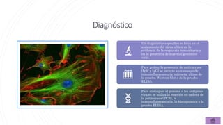 Diagnóstico
Un diagnóstico específico se basa en el
aislamiento del virus o bien en la
evidencia de la respuesta inmunitaria y
en la presencia de material genómico
viral.
Para probar la presencia de anticuerpos
(IgM y IgG) se recurre a un ensayo de
inmunofluorescencia indirecta, al uso de
la prueba Western blot o de la prueba
ELISA.
Para distinguir el genoma o los antígenos
virales se utiliza la reacción en cadena de
la polimerasa (PCR), la
inmunofluorescencia, la histoquímica o la
prueba ELISA.
 