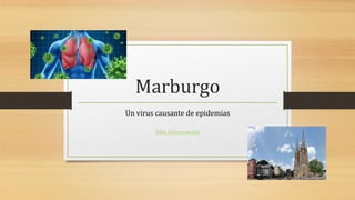 Marburgo
Un virus causante de epidemias
Mas información
 
