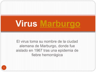 El virus toma su nombre de la ciudad
alemana de Marburgo, donde fue
aislado en 1967 tras una epidemia de
fiebre hemorrágica
Virus Marburgo
1
 