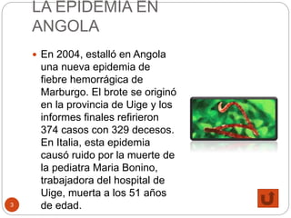 LA EPIDEMIA EN
ANGOLA
3
 En 2004, estalló en Angola
una nueva epidemia de
fiebre hemorrágica de
Marburgo. El brote se originó
en la provincia de Uige y los
informes finales refirieron
374 casos con 329 decesos.
En Italia, esta epidemia
causó ruido por la muerte de
la pediatra Maria Bonino,
trabajadora del hospital de
Uige, muerta a los 51 años
de edad.
 