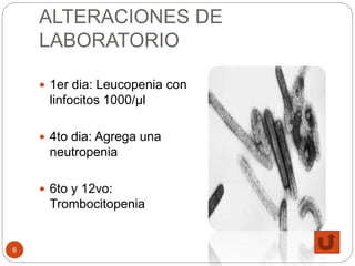 ALTERACIONES DE
LABORATORIO
6
 1er dia: Leucopenia con
linfocitos 1000/μl
 4to dia: Agrega una
neutropenia
 6to y 12vo:
Trombocitopenia
 