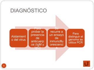DIAGNÓSTICO
8
Aislamient
o del virus
Para
probar la
presencia
de
anticuerp
os (IgM y
IgG)
Se
recurre a
un ensayo
de
inmunoflu
orescenci
a
Para
distinguir el
genoma se
utiliza PCR
 