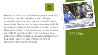 TERAPIA
Hay que recurrir a una terapia de apoyo para controlar
el volumen hemático, el balance electrolítico y
monitorizar atentamente la presencia de infecciones
secundarias. Sólo en caso de que se note un estado de
coagulación intravasal diseminada, se puede recurrir a
la heparina. Se han propuesto terapias a base de suero
obtenido de sujetos curados o con interferón, pero
actualmente faltan pruebas de apoyo. La ribavirina no
ha podido reducir, en experimentos in vitro, la
replicación del virus de Marburgo
 