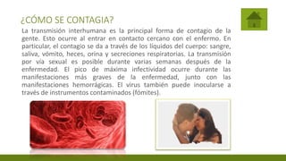¿CÓMO SE CONTAGIA?
La transmisión interhumana es la principal forma de contagio de la
gente. Esto ocurre al entrar en contacto cercano con el enfermo. En
particular, el contagio se da a través de los líquidos del cuerpo: sangre,
saliva, vómito, heces, orina y secreciones respiratorias. La transmisión
por vía sexual es posible durante varias semanas después de la
enfermedad. El pico de máxima infectividad ocurre durante las
manifestaciones más graves de la enfermedad, junto con las
manifestaciones hemorrágicas. El virus también puede inocularse a
través de instrumentos contaminados (fómites).
 