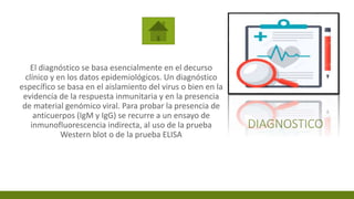 DIAGNOSTICO
El diagnóstico se basa esencialmente en el decurso
clínico y en los datos epidemiológicos. Un diagnóstico
específico se basa en el aislamiento del virus o bien en la
evidencia de la respuesta inmunitaria y en la presencia
de material genómico viral. Para probar la presencia de
anticuerpos (IgM y IgG) se recurre a un ensayo de
inmunofluorescencia indirecta, al uso de la prueba
Western blot o de la prueba ELISA
 