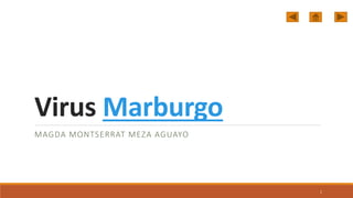 Virus Marburgo
MAGDA MONTSERRAT MEZA AGUAYO
1
 