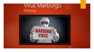 Virus Marburgo
Marburgo
1
 