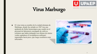 Virus Marburgo
■ El virus toma su nombre de la ciudad alemana de
Marburgo, donde fue aislado en 1967 tras una
epidemia de fiebre hemorrágica que cundió en el
personal de laboratorio encargado de cultivos
celulares que había trabajado con riñones de simios
verdes ugandeses (Cercopithecus aethiops)
importados hacía poco, que luego resultaron estar
infectados.
3
 