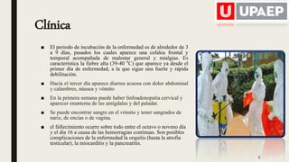 Clínica
■ El periodo de incubación de la enfermedad es de alrededor de 3
a 9 días, pasados los cuales aparece una cefalea frontal y
temporal acompañada de malestar general y mialgias. Es
característica la fiebre alta (39-40 °C) que aparece ya desde el
primer día de enfermedad, a la que sigue una fuerte y rápida
debilitación.
■ Hacia el tercer día aparece diarrea acuosa con dolor abdominal
y calambres, náusea y vómito
■ En la primera semana puede haber linfoadenopatía cervical y
aparecer enantema de las amígdalas y del paladar.
■ Se puede encontrar sangre en el vómito y tener sangrados de
nariz, de encías o de vagina.
■ el fallecimiento ocurre sobre todo entre el octavo o noveno día
y el día 16 a causa de las hemorragias continuas. Son posibles
complicaciones de la enfermedad la orquitis (hasta la atrofia
testicular), la miocarditis y la pancreatitis.
8
 