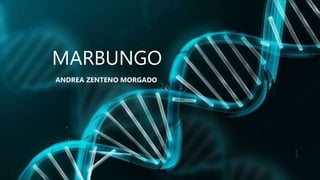 MARBUNGO
ANDREA ZENTENO MORGADO
1
 