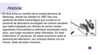 Historia.
• El virus toma su nombre de la ciudad alemana de
Marburgo, donde fue aislado en 1967 tras una
epidemia de fiebre hemorrágica que cundió en el
personal de laboratorio encargado de cultivos celulares
que había trabajado con riñones de simios verdes
ugandeses (Cercopithecus aethiops) importados hacía
poco, que luego resultaron estar infectados. En total
enfermaron 37 personas. 25 casos ocurrieron entre el
personal del laboratorio, por contacto directo con los
monos. Siete de estos murieron.
3
 