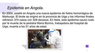 Epidemia en Angola.
En 2004, estalló en Angola una nueva epidemia de fiebre hemorrágica de
Marburgo. El brote se originó en la provincia de Uige y los informes finales
refirieron 374 casos con 329 decesos. En Italia, esta epidemia causó ruido
por la muerte de la pediatra Maria Bonino, trabajadora del hospital de
Uige, muerta a los 51 años de edad.
4
 