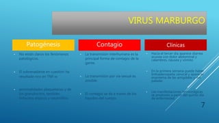 Patogénesis
• No están claros los fenómenos
patológicos.
• El sobrenadante en cuestión ha
resultado rico en TNF-α.
• anormalidades plaquetarias y de
los granulocitos, también
linfocitos atípicos y neutrófilos
Contagio
• La transmisión interhumana es la
principal forma de contagio de la
gente.
• La transmisión por vía sexual es
posible.
• El contagio se da a través de los
líquidos del cuerpo.
Clínicas
• Hacia el tercer día aparece diarrea
acuosa con dolor abdominal y
calambres, náusea y vómito
• En la primera semana puede haber
linfoadenopatía cervical y aparecer
enantema de las amígdalas y del
paladar.
• Las manifestaciones hemorrágicas
se producen a partir del quinto día
de enfermedad.
7
VIRUS MARBURGO
 