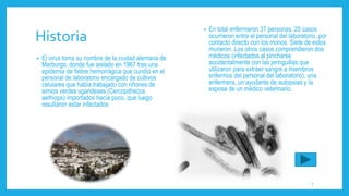 Historia
• El virus toma su nombre de la ciudad alemana de
Marburgo, donde fue aislado en 1967 tras una
epidemia de fiebre hemorrágica que cundió en el
personal de laboratorio encargado de cultivos
celulares que había trabajado con riñones de
simios verdes ugandeses (Cercopithecus
aethiops) importados hacía poco, que luego
resultaron estar infectados
• En total enfermaron 37 personas. 25 casos
ocurrieron entre el personal del laboratorio, por
contacto directo con los monos. Siete de estos
murieron. Los otros casos comprendieron dos
médicos (infectados al pincharse
accidentalmente con las jeringuillas que
utilizaron para extraer sangre a miembros
enfermos del personal del laboratorio), una
enfermera, un ayudante de autopsias y la
esposa de un médico veterinario.
3
 