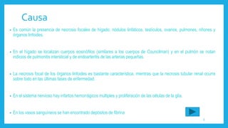 Causa
• Es común la presencia de necrosis focales de hígado, nódulos linfáticos, testículos, ovarios, pulmones, riñones y
órganos linfoides.
• En el hígado se localizan cuerpos eosinófilos (similares a los cuerpos de Councilman) y en el pulmón se notan
indicios de pulmonitis intersticial y de endoarteritis de las arterias pequeñas.
• La necrosis focal de los órganos linfoides es bastante característica, mientras que la necrosis tubular renal ocurre
sobre todo en las últimas fases de enfermedad.
• En el sistema nervioso hay infartos hemorrágicos múltiples y proliferación de las células de la glía.
• En los vasos sanguíneos se han encontrado depósitos de fibrina
6
 