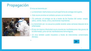 Propagación
El virus se transmite por:
• La transmisión interhumana es la principal forma de contagio de la gente.
• Esto ocurre al entrar en contacto cercano con el enfermo.
• En particular, el contagio se da a través de los líquidos del cuerpo: sangre,
saliva, vómito, heces, orina y secreciones respiratorias.
• La transmisión por vía sexual es posible durante varias semanas después de la
enfermedad.
• El pico de máxima infectividad ocurre durante las manifestaciones más graves de
la enfermedad, junto con las manifestaciones hemorrágicas.
• El virus también puede inocularse a través de instrumentos contaminados
(fómites).
•
7
 