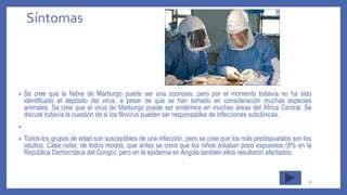 Síntomas
• Se cree que la fiebre de Marburgo puede ser una zoonosis, pero por el momento todavía no ha sido
identificado el depósito del virus, a pesar de que se han tomado en consideración muchas especies
animales. Se cree que el virus de Marburgo puede ser endémico en muchas áreas del África Central. Se
discute todavía la cuestión de si los filovirus pueden ser responsables de infecciones subclínicas.
•
• Todos los grupos de edad son susceptibles de una infección, pero se cree que los más predispuestos son los
adultos. Cabe notar, de todos modos, que antes se creía que los niños estaban poco expuestos (8% en la
República Democrática del Congo), pero en la epidemia en Angola también ellos resultaron afectados.
8
 