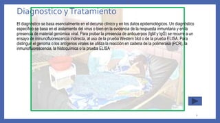 Diagnostico yTratamiento
El diagnóstico se basa esencialmente en el decurso clínico y en los datos epidemiológicos. Un diagnóstico
específico se basa en el aislamiento del virus o bien en la evidencia de la respuesta inmunitaria y en la
presencia de material genómico viral. Para probar la presencia de anticuerpos (IgM y IgG) se recurre a un
ensayo de inmunofluorescencia indirecta, al uso de la prueba Western blot o de la prueba ELISA. Para
distinguir el genoma o los antígenos virales se utiliza la reacción en cadena de la polimerasa (PCR), la
inmunofluorescencia, la histoquímica o la prueba ELISA
9
 