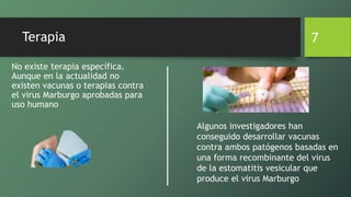 Terapia
No existe terapia específica.
Aunque en la actualidad no
existen vacunas o terapias contra
el virus Marburgo aprobadas para
uso humano
7
Algunos investigadores han
conseguido desarrollar vacunas
contra ambos patógenos basadas en
una forma recombinante del virus
de la estomatitis vesicular que
produce el virus Marburgo
 