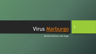 Virus Marburgo
Benítez Sánchez José Ángel
1
 