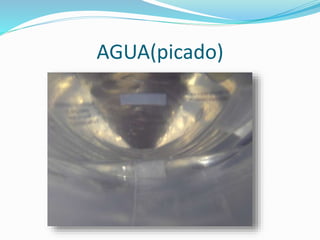 AGUA(picado)
 