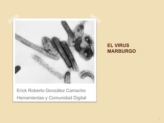 EL VIRUS
MARBURGO
Erick Roberto González Camacho
Herramientas y Comunidad Digital
1
 