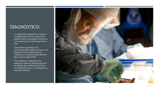 DIAGNÓSTICO:
 Un diagnóstico específico se basa en
el aislamiento del virus o bien en la
evidencia de la respuesta inmunitaria y
en la presencia de material genómico
viral.
 Para probar la presencia de
anticuerpos (IgM y IgG) se recurre a un
ensayo de inmunofluorescencia
indirecta, al uso de la prueba Western
blot o de la prueba ELISA.
 Para distinguir el genoma o los
antígenos virales se utiliza la reacción
en cadena de la polimerasa (PCR), la
inmunofluorescencia, la histoquímica o
la prueba ELISA.[2]
6
 