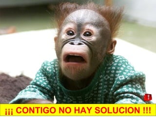 ¡¡¡ CONTIGO NO HAY SOLUCION !!!
