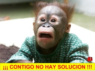 ¡¡¡ CONTIGO NO HAY SOLUCION !!! 