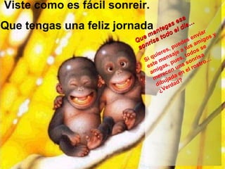 Viste como es fácil sonreir. Que tengas una feliz jornada Que mantegas esa sonrisa todo el día… Si quieres, puedes enviar este mensaje a tus amigos y amigas, pues, todos se merecen una sonrisa dibujada en el rostro… ¿Verdad?