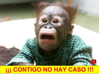 ¡¡¡ CONTIGO NO HAY CASO !!!