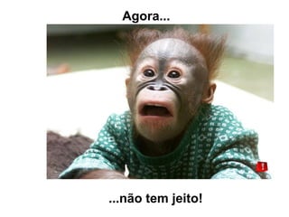 Agora...




...não tem jeito!
 