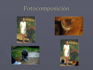 Fotocomposición
 