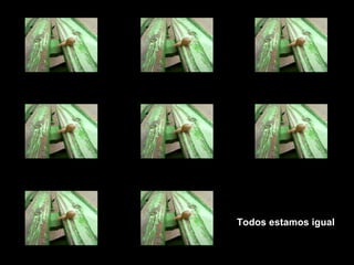 Todos estamos igual 