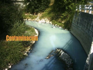 Contaminación 