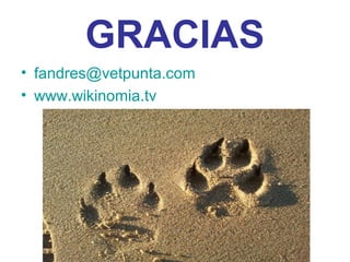 GRACIAS
• fandres@vetpunta.com
• www.wikinomia.tv