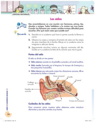 Retos para gigantes semana 11 | PDF