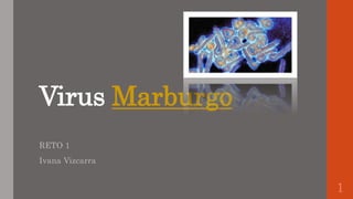 Virus Marburgo
RETO 1
Ivana Vizcarra
1
 