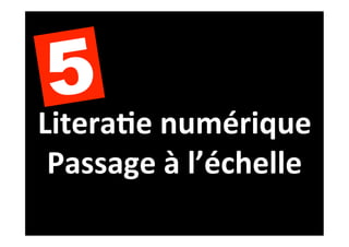 5 numérique	
  
Litera4e	
  
Passage	
  à	
  l’échelle	
  
 