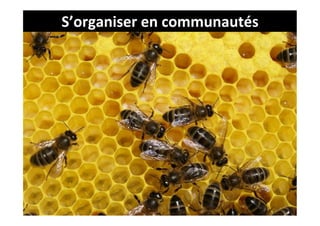 S’organiser	
  en	
  communautés	
  
 
