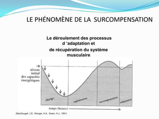 LE PHÉNOMÈNE DE LA SURCOMPENSATION

                              Le déroulement des processus
                                     d ’adaptation et
                               de récupération du système
                                        musculaire




(MacDougall, J.D., Wenger, H.A., Green, H.J., 1991)
 