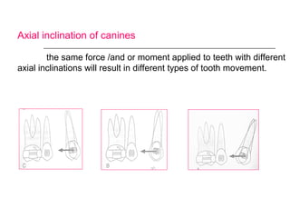 Axial inclination of canines
the same force /and or moment applied to teeth with different
axial inclinations will result in different types of tooth movement.
 